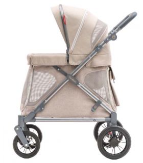 Chariot compact Q1 - Ash Rose