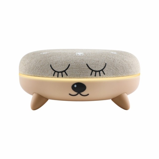 PETIT TERRAILLON - ZEN BOX KID
