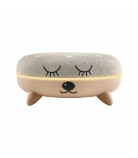PETIT TERRAILLON - ZEN BOX KID