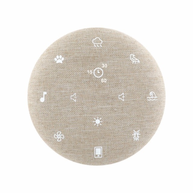 PETIT TERRAILLON - ZEN BOX KID