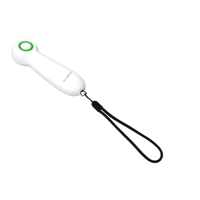 PETIT TERRAILLON - INSECT CALM