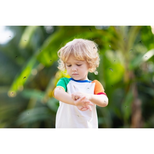 PETIT TERRAILLON - INSECT CALM