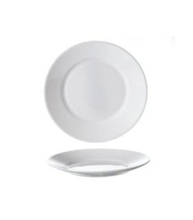 LOT DE 6 assiettes plates ø 23,5 cm