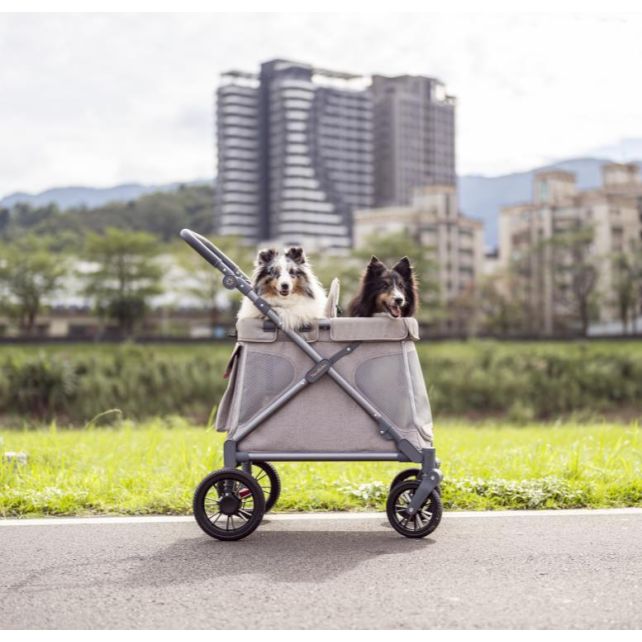 Chariot compact Q1 V2 - Charcoal Grey