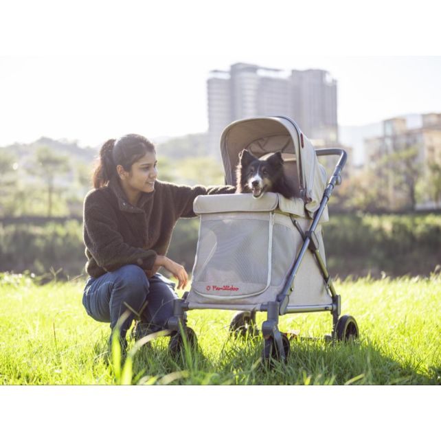 Chariot compact Q1 V2 - Charcoal Grey