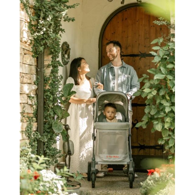 Chariot compact Q1 V2 - Charcoal Grey