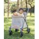 Chariot compact Q1 V2 - Charcoal Grey