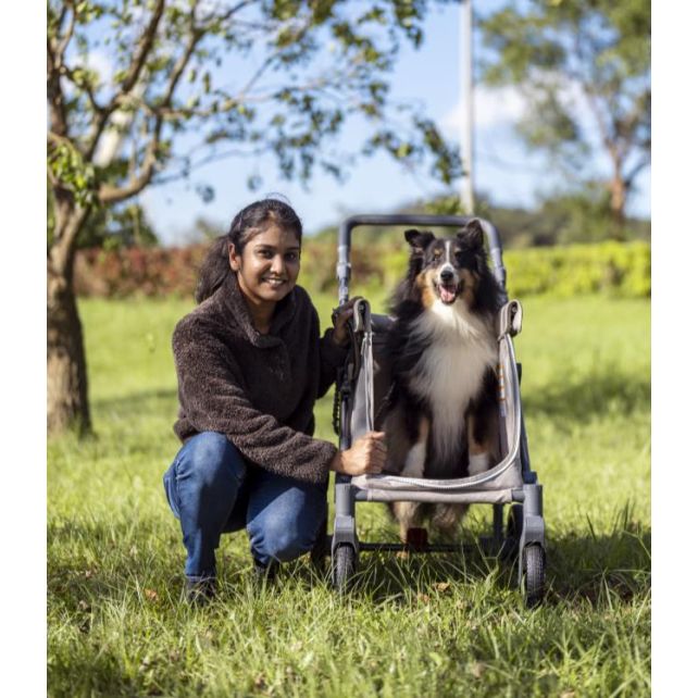 Chariot compact Q1 V2 - Emerald Green