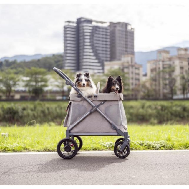 Chariot compact Q1 V2 - Denim Blue