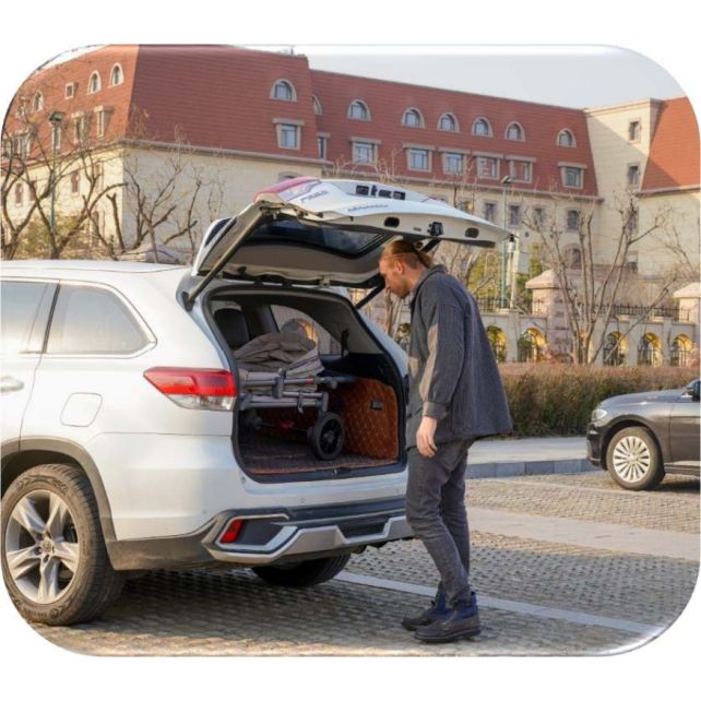 Chariot compact Q1 V2 - Ash Rose