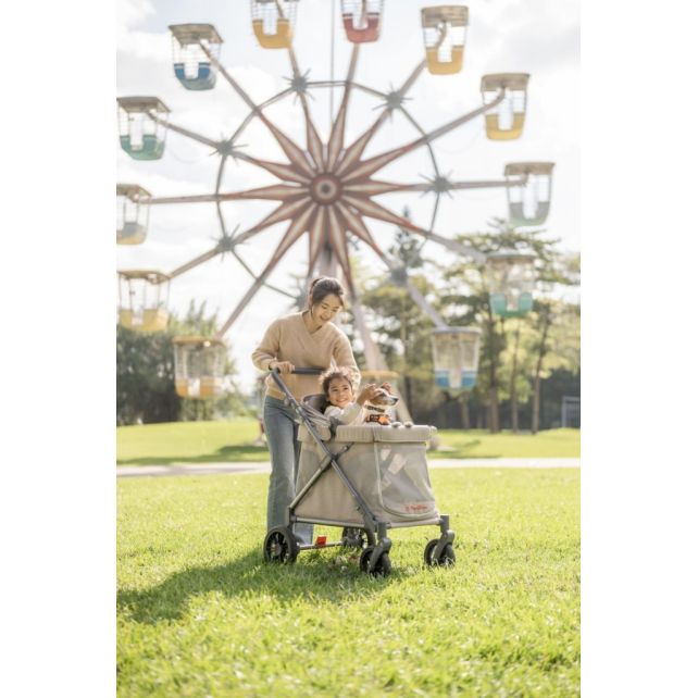 Chariot compact Q1 V2 - Ash Rose