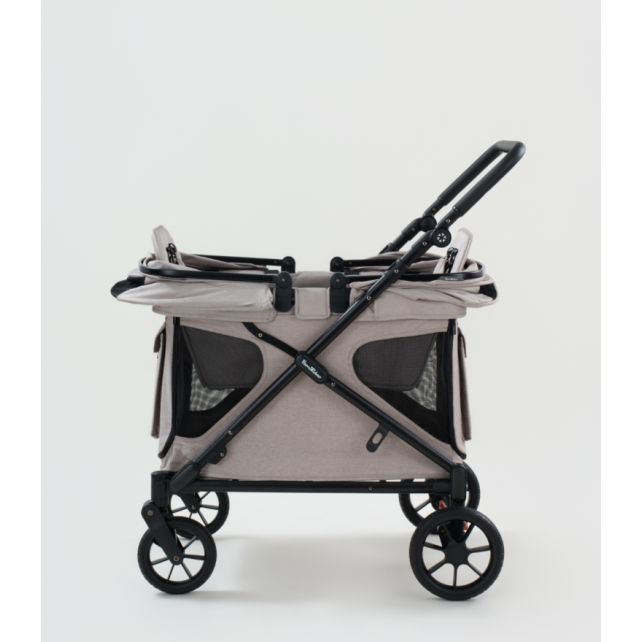 Chariot compact Q2 - Ash Rose